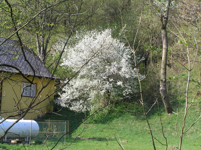 P4242298.JPG
