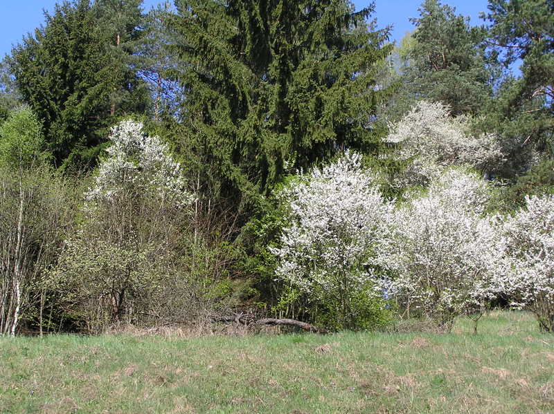 P4252326.JPG