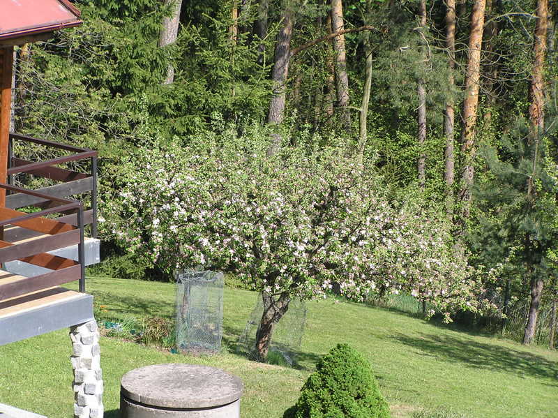 P5012366.JPG