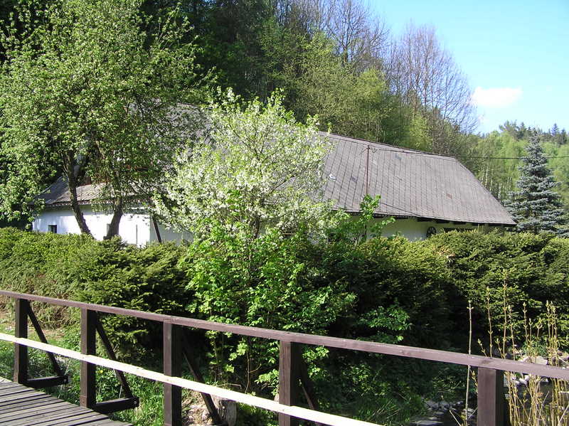 P5012379.JPG