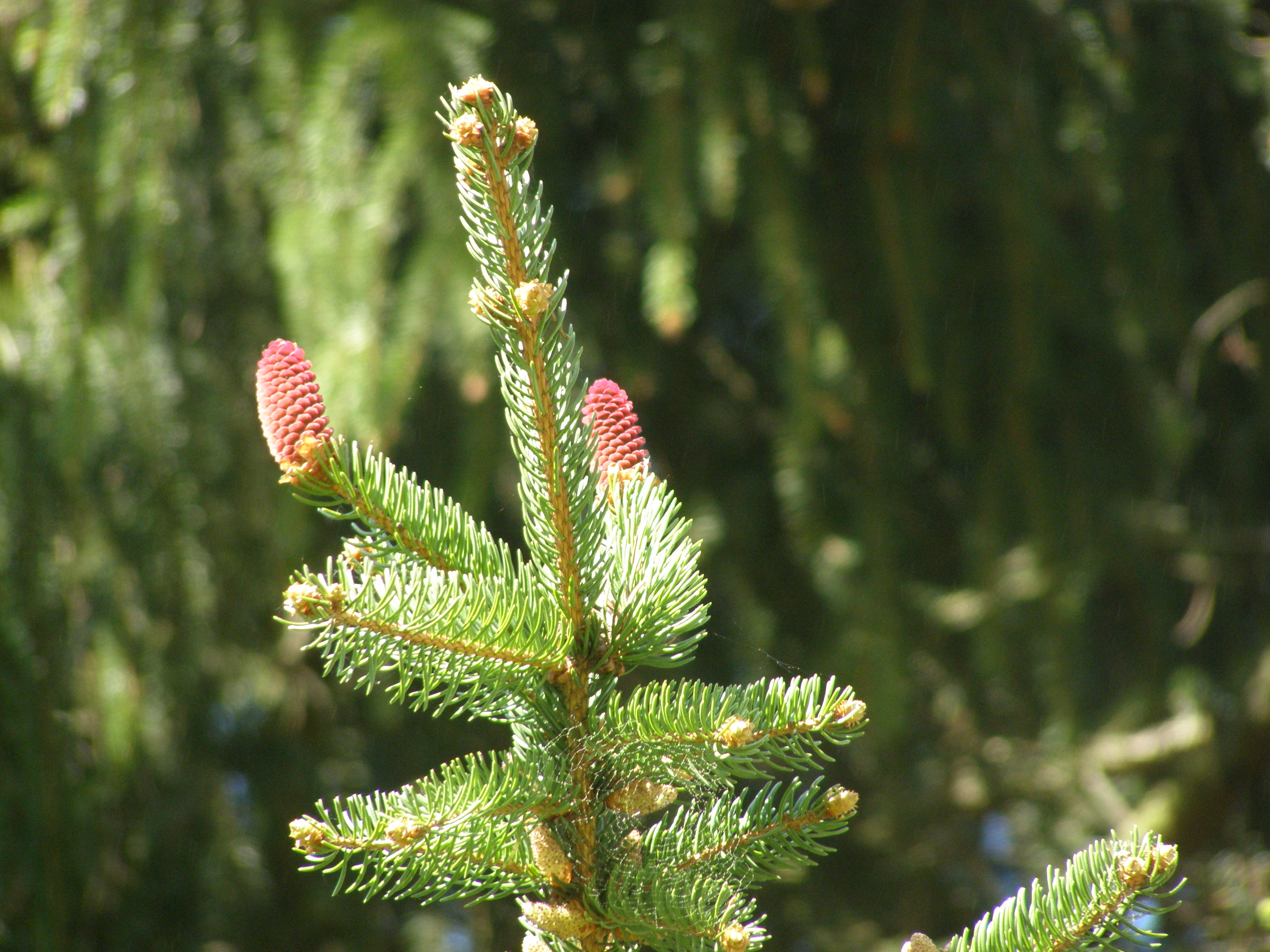 P1010341.JPG