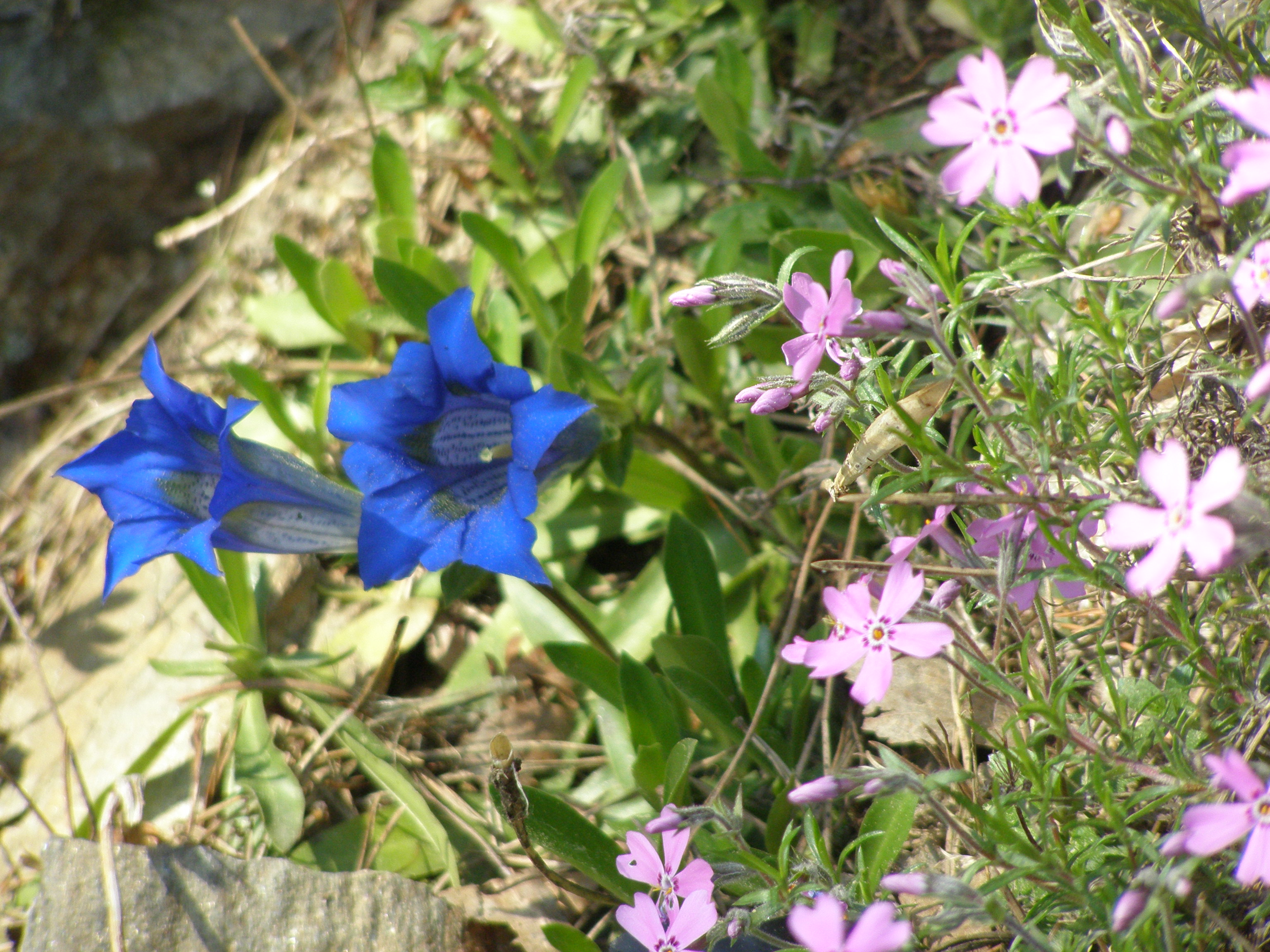 P1010353.JPG