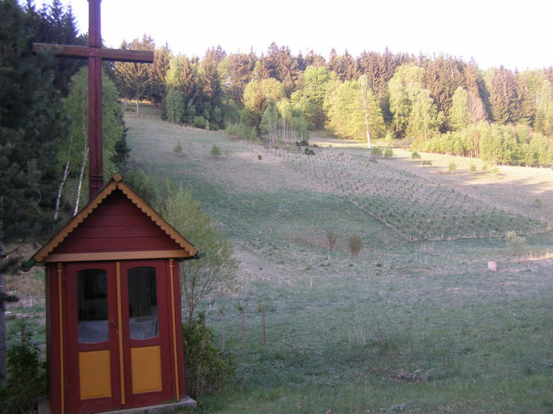P5020355.JPG